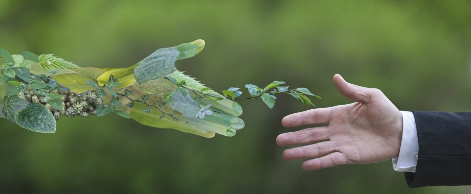 Gestão-Ambiental-para-condominio