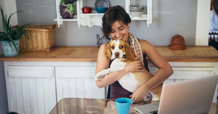 Cuidados com animais em condomínio